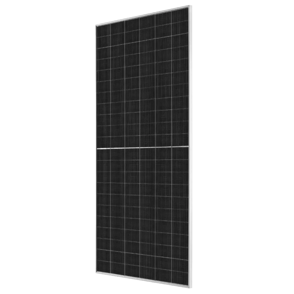 Tongwei 625Wp TWMNH-66HD625W N-type Bifacial Plateado frame panel solar